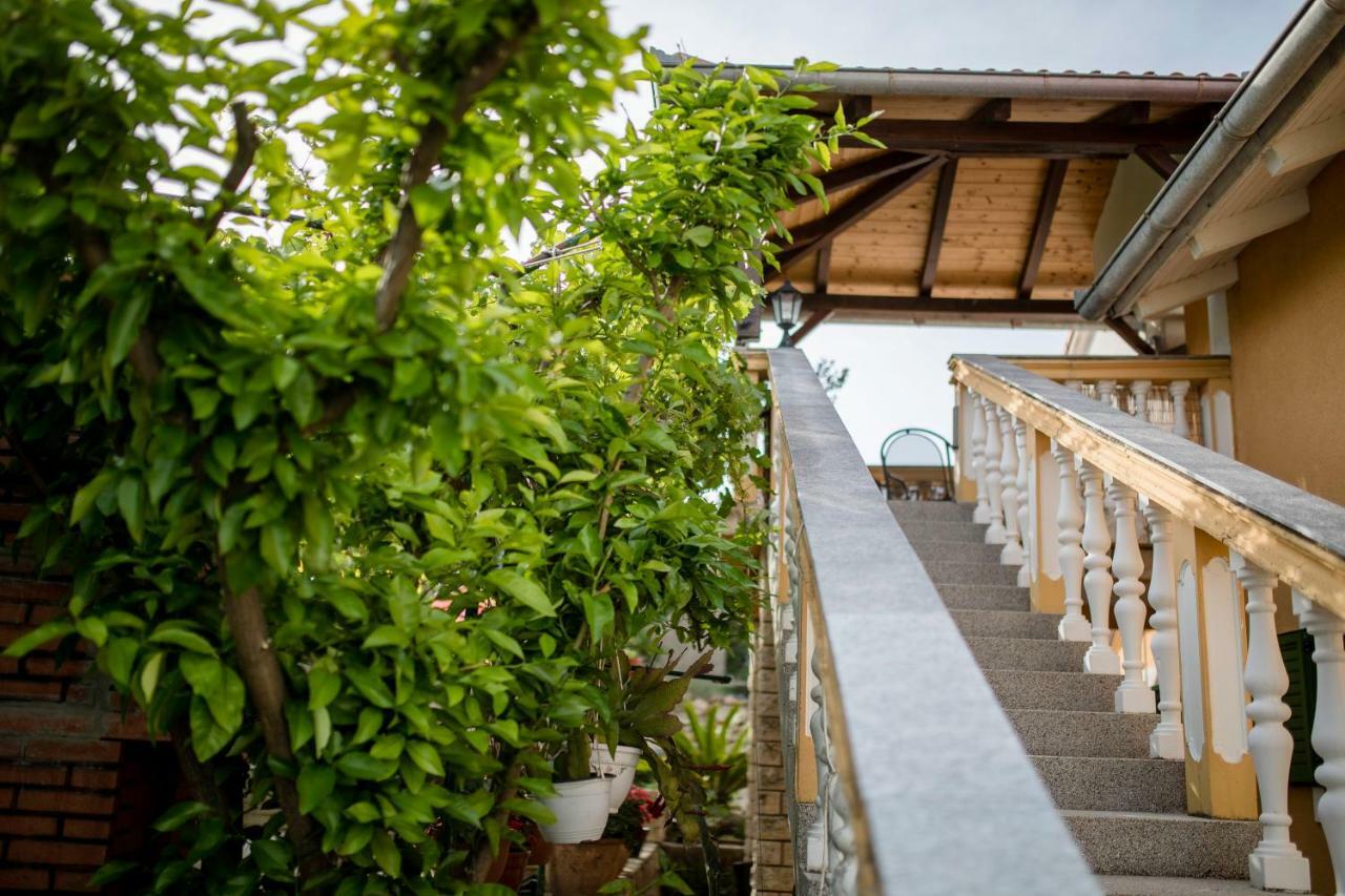 Apartmani Godinic Palit 外观 照片